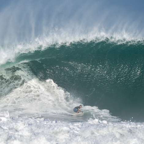 feli_portada_1_resized_2