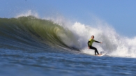 Rama Crego Bottom